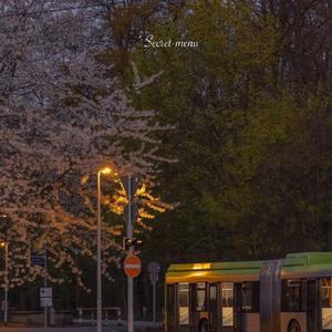 国产我和亲妺作爱69免费观看
