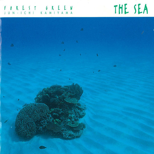 国产我和亲妺作爱69免费观看
